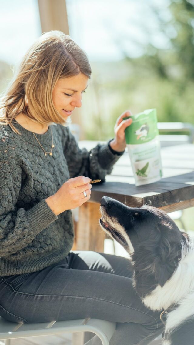 À tous mes super clients 🫶🏻 Un grand merci pour vos achats et vos retours positifs ! ⭐️ Votre soutien me touche profondément et me motive à toujours donner le meilleur pour vos toutous 💚🐶

Votre satisfaction = ma plus grande récompense 🥰✨

#finmuseau #friandisespourchien #friandisesnaturelles #friandises  #naturelles #superaliments #organicpetfood #madeinfrance #landes #dog #smallbusiness #chien #dogofinstagram #bienetreanimal #alimentationsaine #petiteentreprise #artisanal #entrepreneuriat #girlboss #womenentrepreneurs #artisan #dogtreats #plantbaseddogtreats